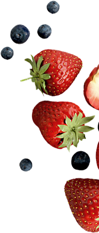 revslider_h11_img-2.png