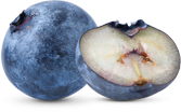 revslider_h11_img-4.png