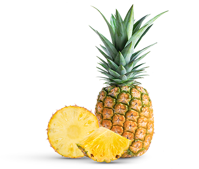 revslider_h11_img-6.png